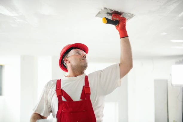 Best Mold Odor Removal Services  in National Harbor, MD