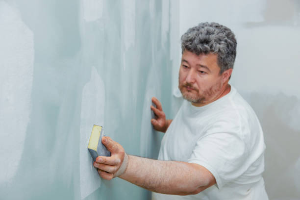 Reliable National Harbor, MD Mold Removal Solutions