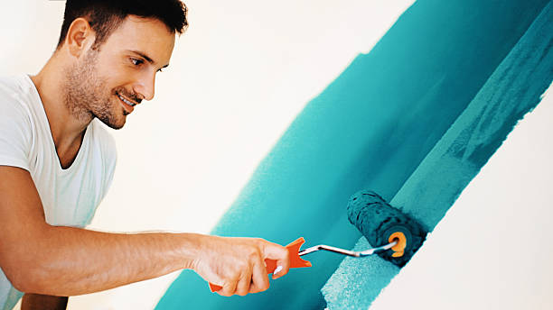 Best Emergency Mold Remediation  in National Harbor, MD
